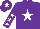 Silk - Purple, white star, purple sleeves, white stars, purple cap, white star