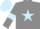 Silk - Grey, light blue star, armlets and cap