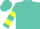 Silk - Turquoise, yellow 'l', yellow hoops on slvs