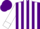 Silk - Purple, white stripes and cuffs on sleeves, purple cap