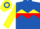Silk - Royal blue, yellow chevron hoop, red 'ja' inside hoop on back, blue and yellow sleeves