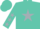 Silk - Turquoise, silver star, silver stars on sleeves, turquoise cap
