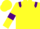 Silk - Yellow, Purple epaulets and armlets