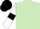 Silk - Light green, white sleeves, black armlets, black cap