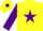 Silk - Yellow, purple star, sleeves and diamond on cap