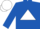 Silk - royal blue, white triangle, white cap