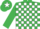 Silk - Emerald green and white check, emerald green cap, white star