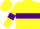 Silk - Yellow, Purple hoop and Armlets