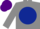 Silk - GREY, dark blue disc, purple cap
