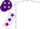 Silk - White, Purple stars on sleeves and cap