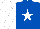 Silk - Royal blue, white star, white sleeves and cap