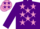 Silk - Purple, mauve stars, purple sleeves