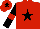 Silk - Red, black star, black sleeves, red armlets, red cap, black star
