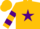 Silk - Gold, purple star, purple bars on sleeves, gold cap