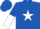 Silk - Royal blue, white star, halved sleeves