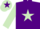 Silk - Purple, light green star & sleeves, light green cap, purple star