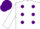 Silk - White, purple dots, purple band on sleeves, purple cap