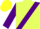 Silk - Canary yellow, purple sash, purple sleeves, canary yellow cap