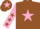 Silk - Brown, pink star, pink sleeves, brown stars, brown cap, pink star