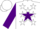 Silk - White, white 'h' on purple star, white stars on purple sleeves, white cap