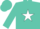 Silk - Turquoise, white star, white 'jtp'
