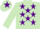 Silk - LIGHT GREEN, purple stars, light green sleeves, light green cap, purple star