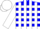 Silk - Blue, white blocks, white stripes on sleeves, logo on back, matching cap