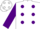 Silk - White, purple dots, purple slvs