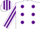 Silk - White, Purple spots, striped sleeves and cap