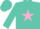 Silk - Turquoise, pink star