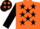 Silk - Orange with black stars on back and sleeves