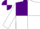 Silk - Purple & white halves, purple and white quartered slvs