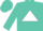 Silk - Turquoise, white 'msm' in triangle