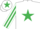 Silk - WHITE, EMERALD GREEN star, striped sleeves and star on cap