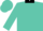 Silk - Turquoise, black shield with 'cl' in middle, black collar