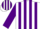 Silk - White, purple stripes, purple sleeves