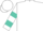 Silk - White,turquiose emblem,turquoise l r v, hoops on slvs