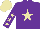 Silk - Purple, beige star, purple sleeves, beige stars and cap