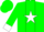 Silk - Green, white 'dh', white star stripe and cuffs