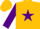 Silk - Gold, purple star, purple sleeves