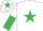 Silk - White, Emerald Green star, halved sleeves, White cap, Emerald Green star