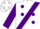 Silk - White, white 'bj' on purple sash, purple dots and sleeves