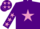 Silk - Purple, Mauve star, Purple sleeves, Mauve stars and stars on cap