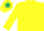 Silk - Yellow body, dark green shoulders, yellow arms, dark green hooped, yellow cap, dark green star
