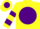 Silk - Yellow, yellow lightning bolt on purple ball, purple bars on sleeves