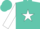 Silk - Turquoise, white star, turquoise bars on white sleeves, turquoise cap