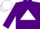 Silk - Purple, white triangle, white and purple diablo sleeves, white cap