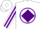 Silk - White, purple diamond band on front & circle 'g' on back, purple diamond stripe on sleeves