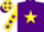 Silk - Purple, bright yellow star, yellow sleeves, purple stars and cuffs, bright yellow cap, purple stars and peak