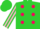 Silk - Lime, hot pink dots, pink stripe on sleeves